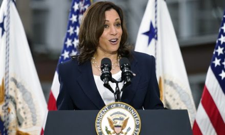 [VIDEO] Kamala Harris Comes Out of Hiding, Gives Interview, Reminds America Why She Shouldn’t Give Interviews