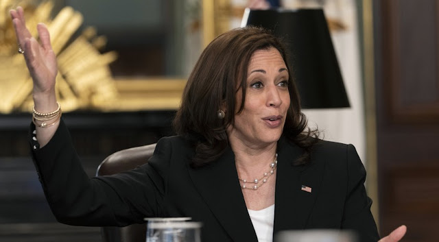 Circular Firing Squad: Panicked Democrats Don’t Know What to Do About Kamala Harris (Or Joe!)