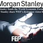 After Twelve Years in Davos, Morgan Stanley CEO Claims Not to Know WEF Agenda