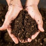 Composting the Dead to Protect the Planet Raises Concerns