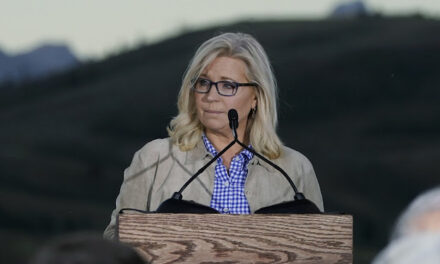 Here’s the Evidence Liz Cheney Tried to Bury During Her January 6 Probe