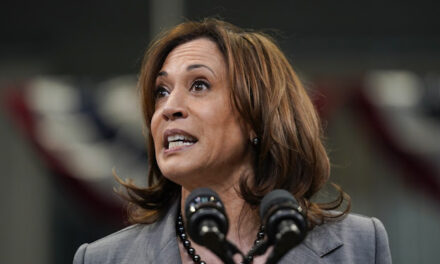 Gee, Thanks Kammy! Kamala Harris Just SANK the One Issue Dems Thought They Could Win With in November