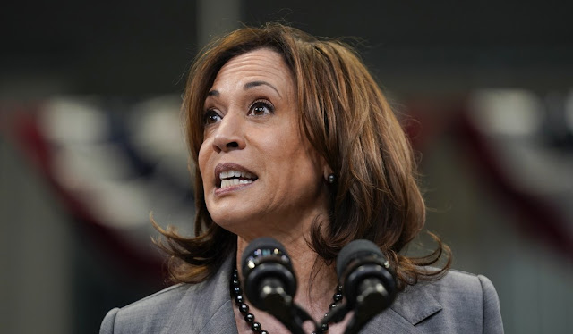 Gee, Thanks Kammy! Kamala Harris Just SANK the One Issue Dems Thought They Could Win With in November
