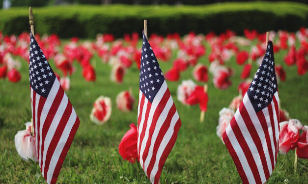 Reflecting on Memorial Day