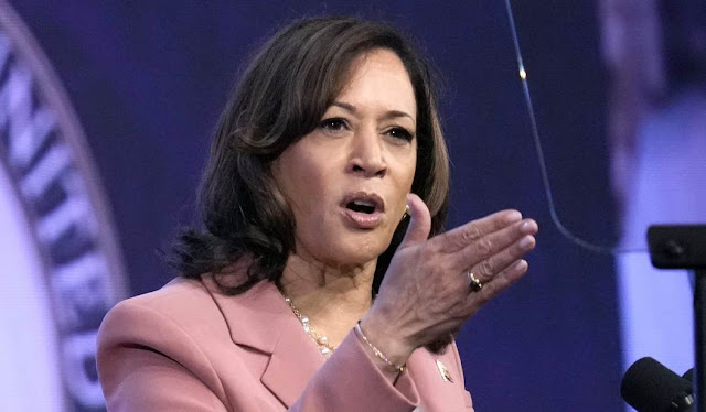 You Don’t Have to Wonder if Kamala Is an Authoritarian Jackboot, Just Look at Her Record