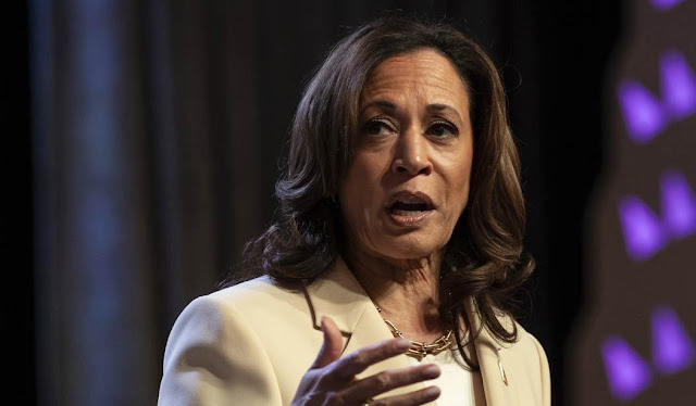 We Have a Surprising Fact-Check From Snopes About Kamala Harris