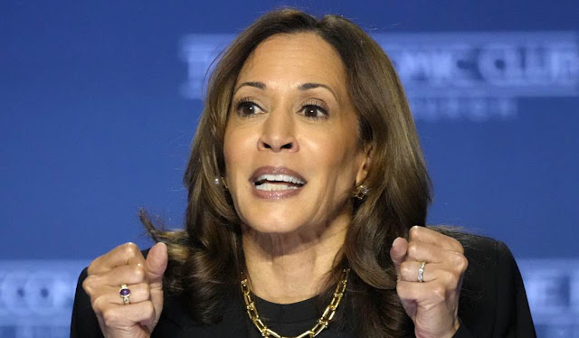 CNN’s Harry Enten Has Very Bad Union News for Harris, Polling Shows How Much Trouble She’s In