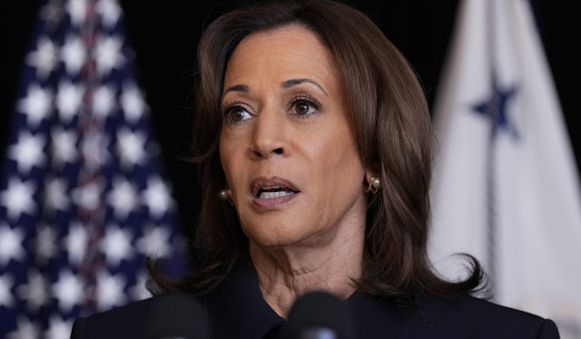 Kamala’s Bizarre Interview With Howard Stern Laughably Goes Off Rails When She Talks About ‘Weakness’